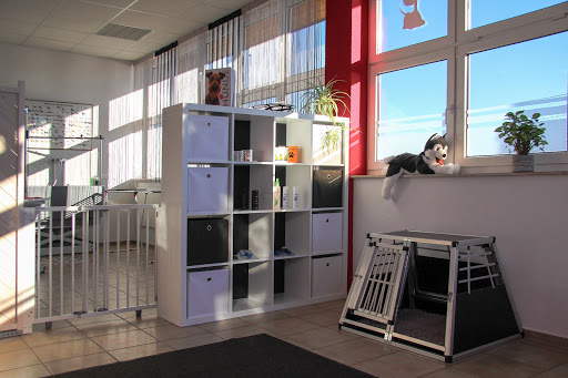 TIP TOP Hundesalon unter Grünkraut, 