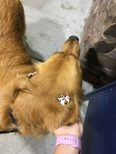 Pet Supply Store «PetSmart», reviews and photos, 67 Consumer Square, Plattsburgh, NY 12901, USA