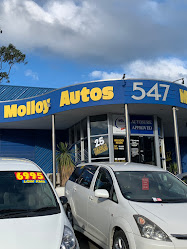 Molloy Auto's