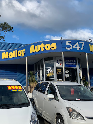 Molloy Auto's
