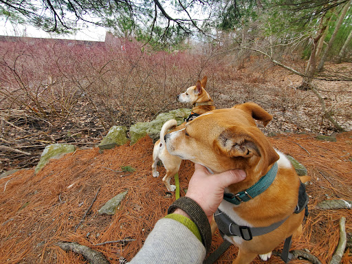 State Park «Breakheart Reservation», reviews and photos, 177 Forest St, Saugus, MA 01906, USA