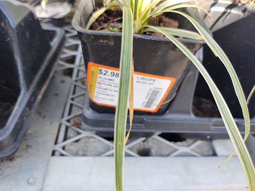 Shopping Mall «Westgate Shopping Center», reviews and photos, 1900 Veterans Blvd, Dublin, GA 31021, USA