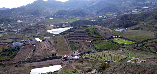 Zona de senderismo – Valle Hondo – Tegueste