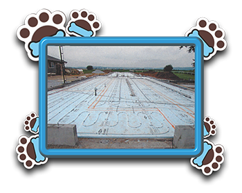 Pet Store «AA Ridgewood Kennels II», reviews and photos, 5401 Lincoln Hwy, Gap, PA 17527, USA