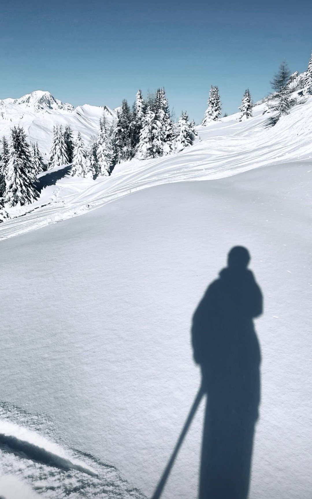 Photo n° 4 de l'avis de Jean-Pierre.a fait le 10/02/2024 à 11:09