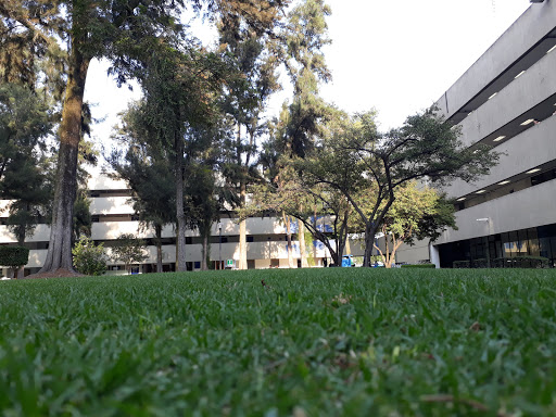 Universidad Autónoma Metropolitana Xochimilco Campus