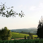 Photo n°7 de l'avis de Loris.u fait le 13/08/2021 à 07:50 sur le  Tre Rane Ruffino à Bagno a Ripoli