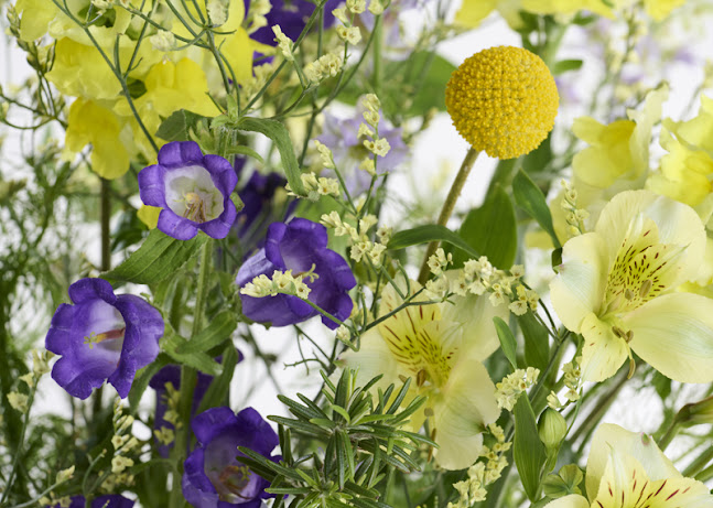 Kommentare und Rezensionen über Fiorella Blumengeschäft