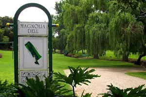 Magnolia Dell image