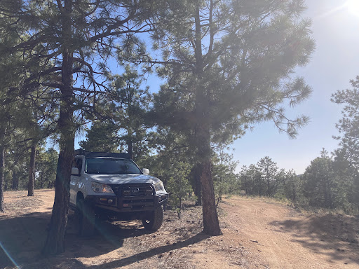 Used Car Dealer «Prestige Motors Tampa», reviews and photos, 16417 N Florida Ave, Lutz, FL 33549, USA