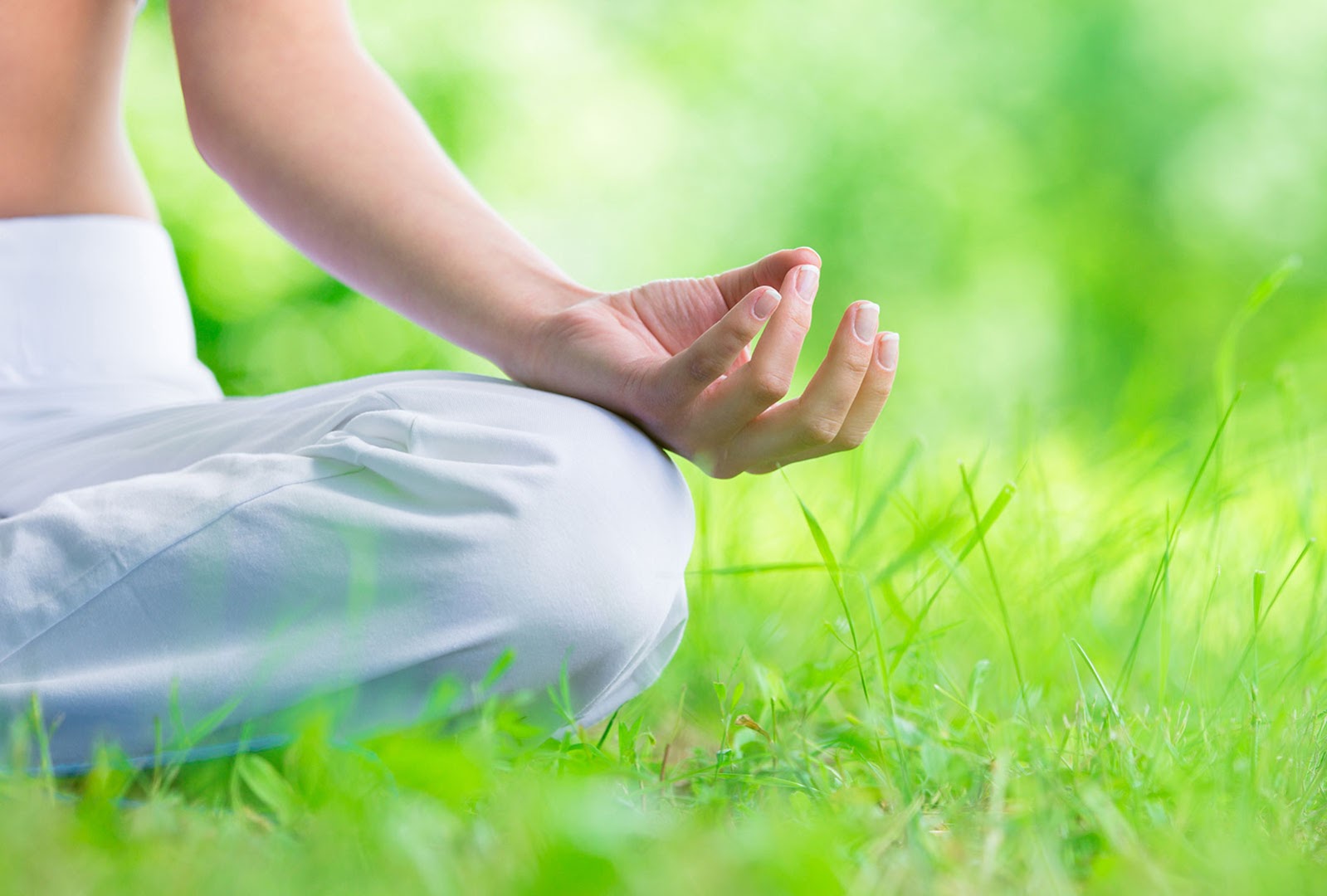 FreeMind - Mindfulness, Meditación y Yoga