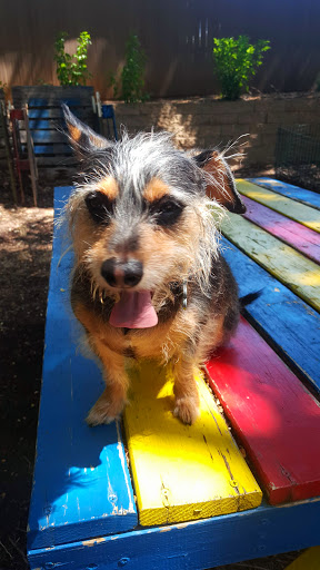 Botanical Garden «Botanical Gardens-Heritage Pk», reviews and photos, 411 Ball St, Grapevine, TX 76051, USA