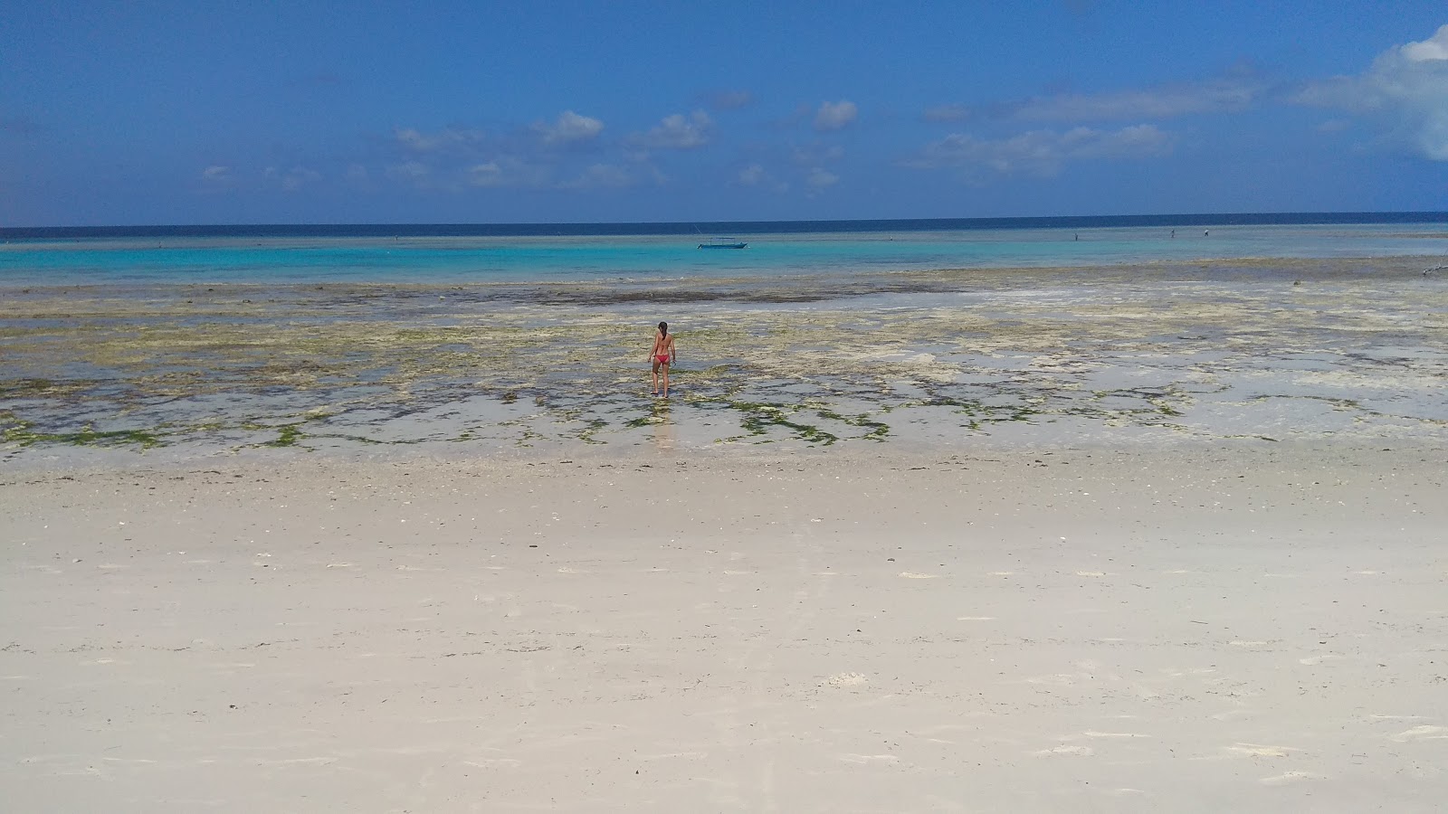 Foto di Pemba Island Beach e l'insediamento