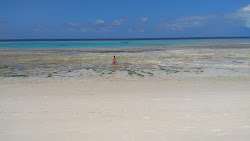 Foto di Pemba Island Beach e l'insediamento