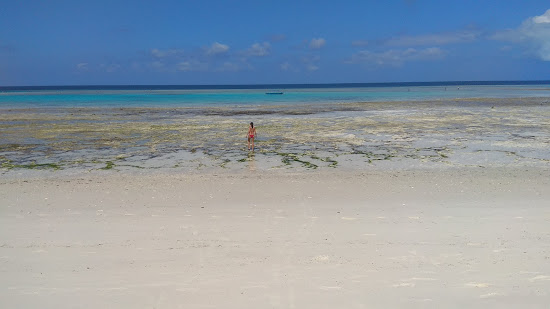 Pemba Island Beach