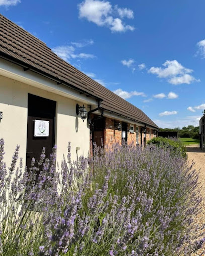 The Physiotherapy, Sports and Spinal Clinic - The Physiotherapy, Sports and Spinal Clinic