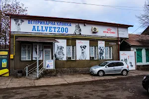 AllvetZoo - круглосуточная ветеринарная клиника image