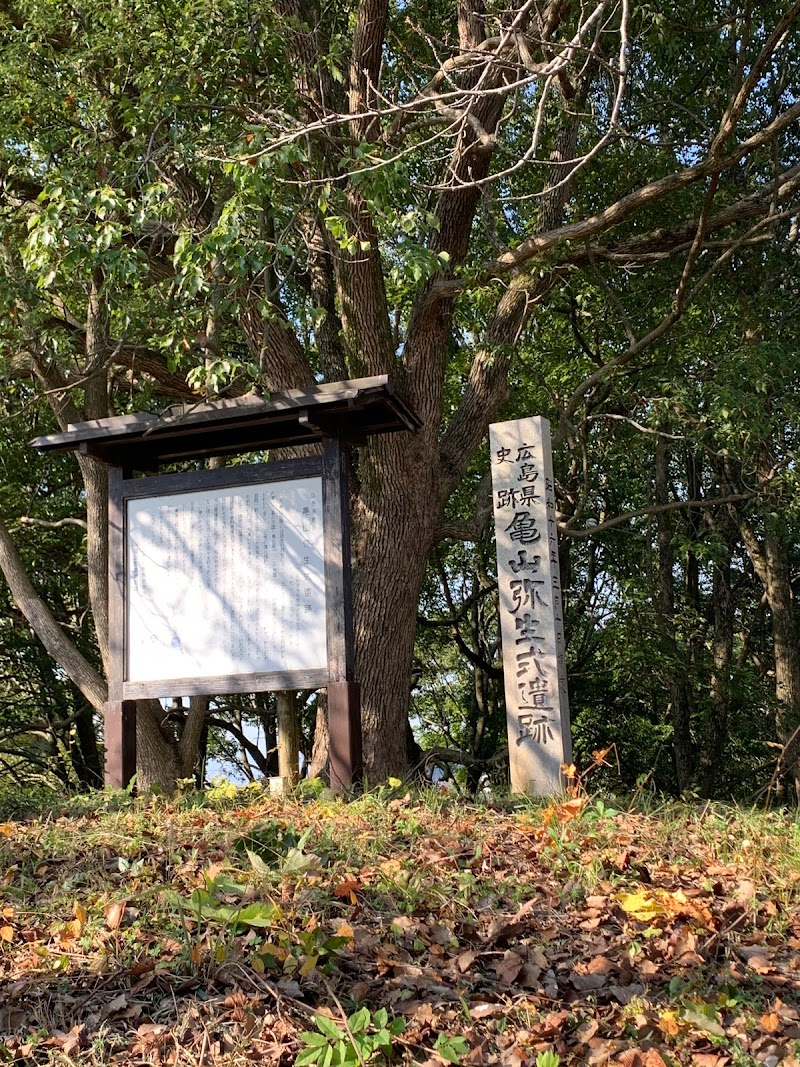 亀山弥生式遺跡
