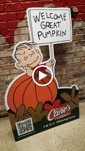 Raising Canes Chicken Fingers image