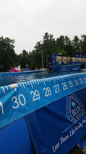 Garden Center «Winnisquam Agway», reviews and photos, 304 Daniel Webster Hwy, Belmont, NH 03220, USA