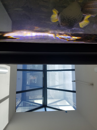 Ford Dealer «Folsom Lake Ford», reviews and photos, 12755 Folsom Blvd, Folsom, CA 95630, USA