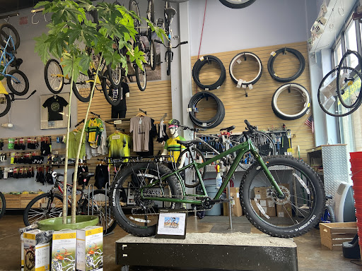 Bicycle Store «Bike Cycles», reviews and photos, 6801 Parker Farm Dr, Wilmington, NC 28405, USA