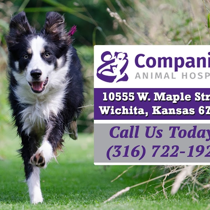 Companion Animal Hospital