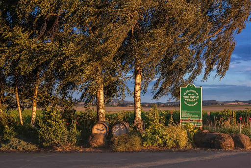 Winery «Coelho Winery», reviews and photos, 111 5th St, Amity, OR 97101, USA