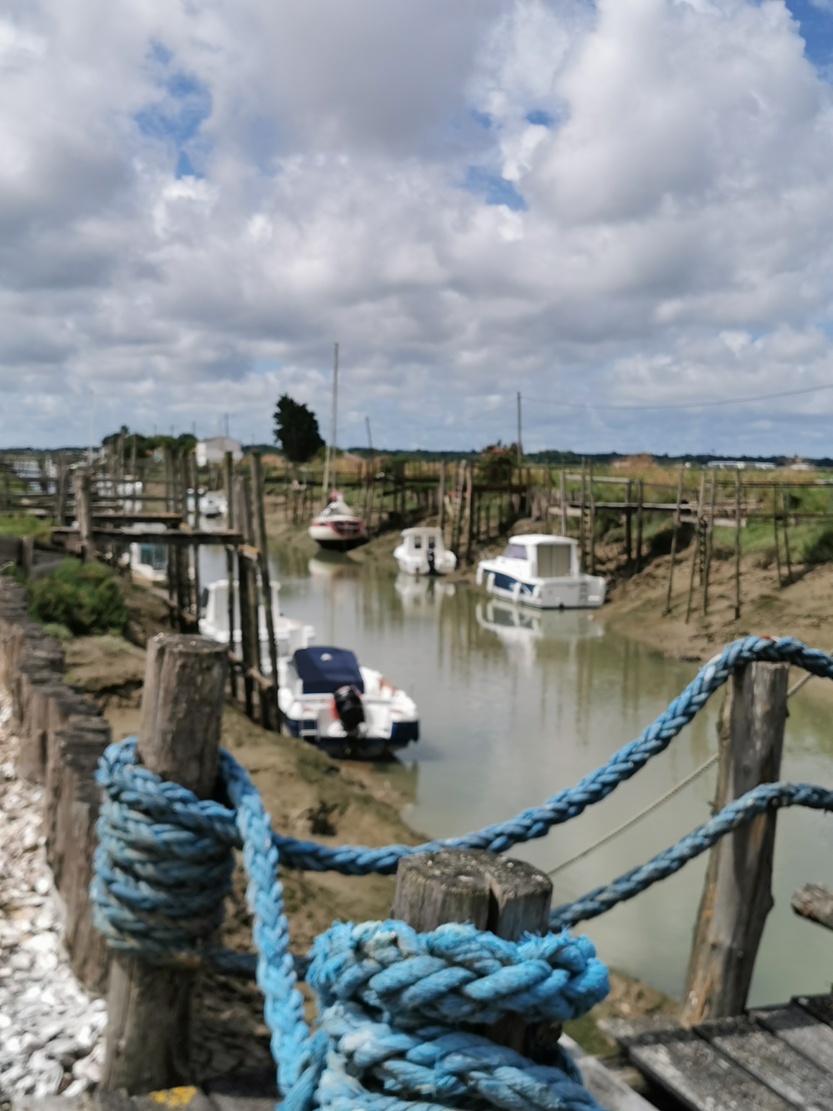 Photo n° 2 de l'avis de angelique.i fait le 19/06/2020 à 10:48