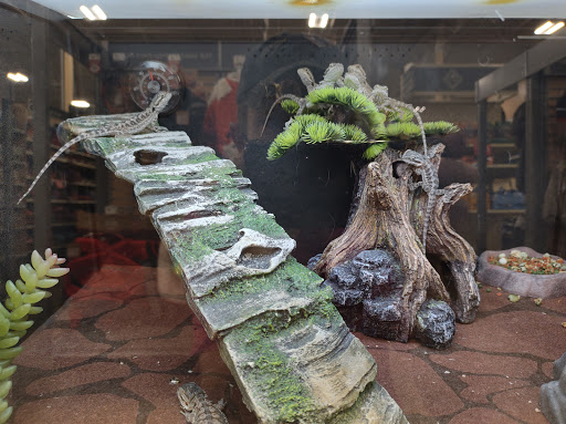 Pet Supply Store «PetSmart», reviews and photos, 4794 Jimmy Lee Smith Pkwy #108, Hiram, GA 30141, USA