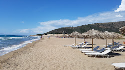 Paralia Gymniston'in fotoğrafı vahşi alan