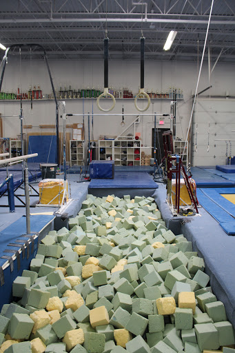 Gymnastics Center «Premier Gymnastics Academy», reviews and photos, 2435 Curtiss St, Downers Grove, IL 60515, USA