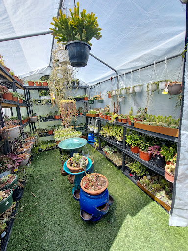 Hardware Store «Proctor Ace Hardware», reviews and photos, 1281 Atlantic Blvd, Neptune Beach, FL 32266, USA