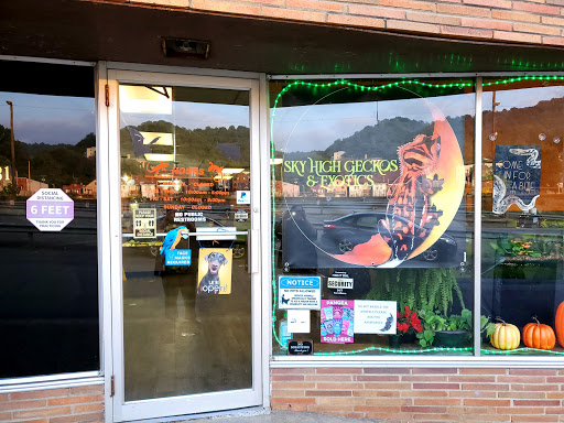 Sky High Geckos & Exotics