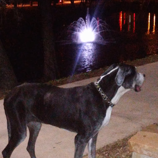 Park «Robert E Lee Park», reviews and photos, 3333 Turtle Creek Blvd, Dallas, TX 75219, USA