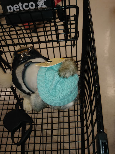 Pet Supply Store «Petco Animal Supplies», reviews and photos, 3270 N Pleasantburg Dr, Greenville, SC 29609, USA