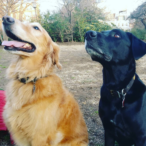 Park «Meridian Hill Park», reviews and photos, 2400 15th St NW, Washington, DC 20009, USA