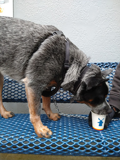 Coffee Shop «Dutch Bros Coffee», reviews and photos, 8940 SW Hall Blvd, Portland, OR 97223, USA