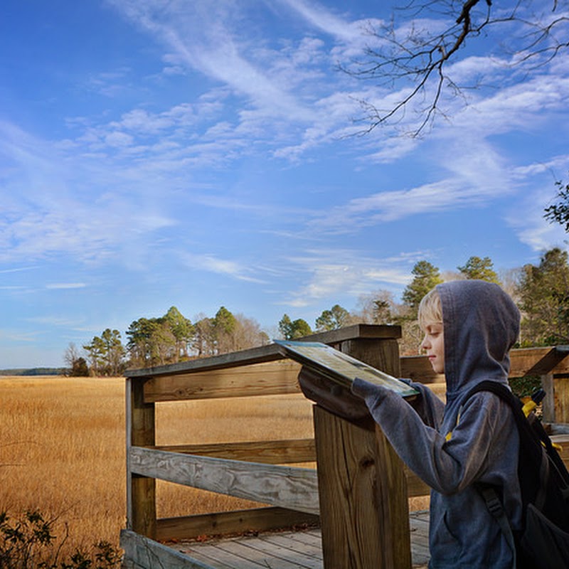 York River State Park