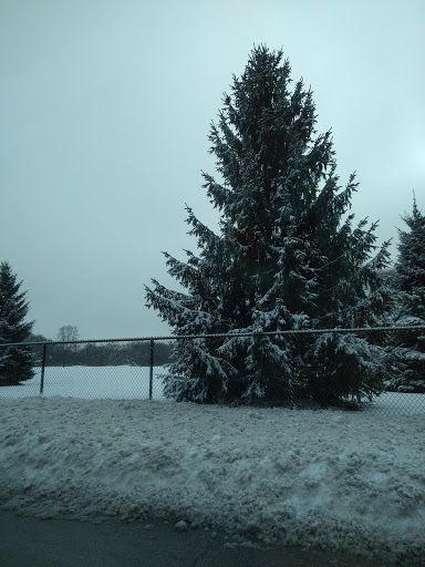 Public Golf Course «Greenfield Golf Course», reviews and photos, 12035 W Greenfield Ave, Milwaukee, WI 53214, USA