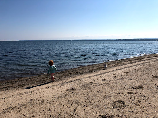 Presque Isle Erie Beach