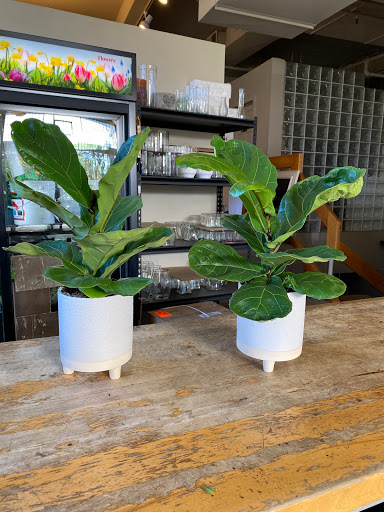 Florist «Bloomtastic Florist», reviews and photos, 2136 Arlington Ave, Columbus, OH 43221, USA