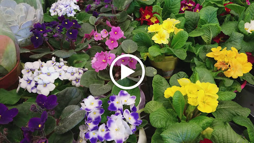 Home Improvement Store «The Home Depot», reviews and photos, 90 Monroe Turnpike, Trumbull, CT 06611, USA