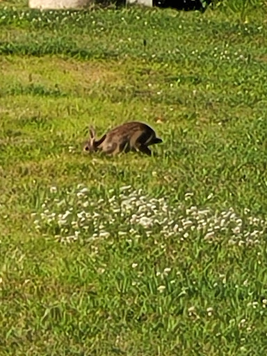 Bar & Grill «Boston Billiard Club & Casino», reviews and photos, 55 Northeastern Blvd, Nashua, NH 03062, USA