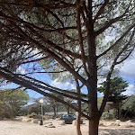 Photo n°5 de l'avis de patrizia.o fait le 18/09/2022 à 10:36 sur le  Naturalmente Pizza à Serravalle Scrivia