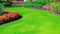 Precision Lawn Care Services