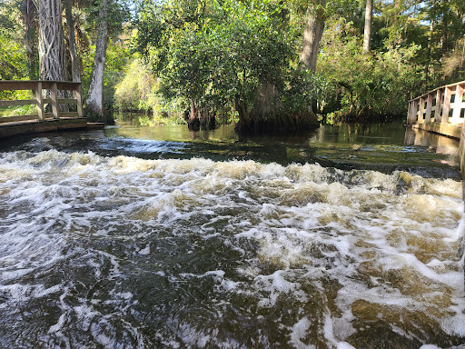 Canoe & Kayak Rental Service «Canoe Outfitters of Florida», reviews and photos, 9060 W Indiantown Rd, Jupiter, FL 33478, USA