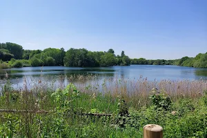 Chorlton Water Park image