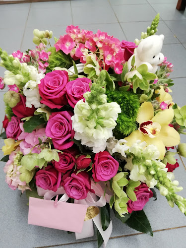 Flor Paraiso - Florista - Moita