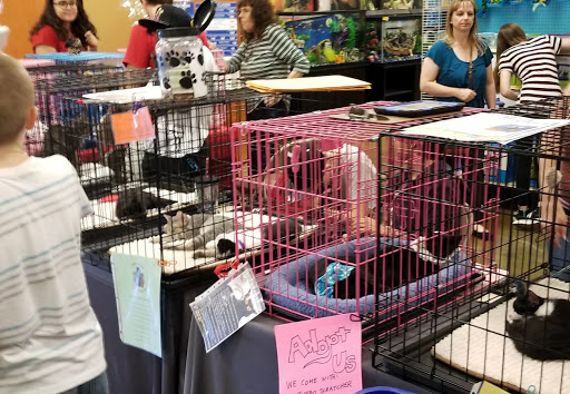 Pet Supply Store «PetSmart», reviews and photos, 6960 Amador Plaza Rd, Dublin, CA 94568, USA